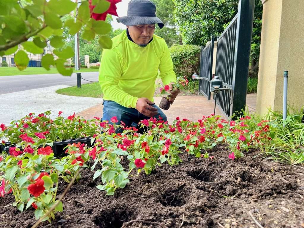 native landscaping dallas